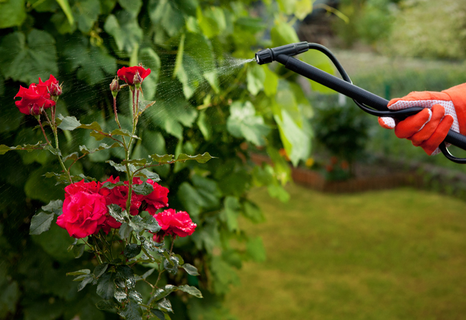 17年品質專注，鑄就行業專家